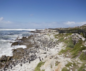Outdoor Activities in Betty’s Bay