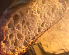 24, 25 & 26 September 2021: Baardskeerdersbos Art Route