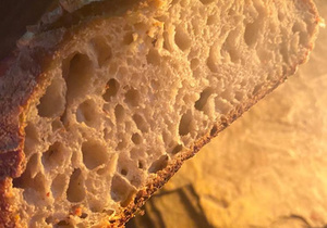 24, 25 & 26 September 2021: Baardskeerdersbos Art Route