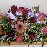 Nashca Funerals Hermanus - Xplorio™ Hermanus