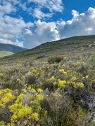 Home Away From Home - Aire del Mar Guest House