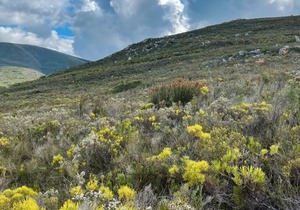 Home Away From Home - Aire del Mar Guest House