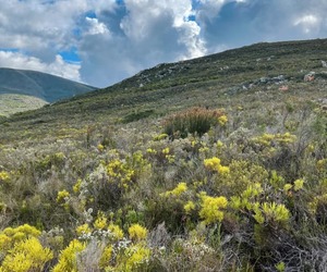 Home Away From Home - Aire del Mar Guest House