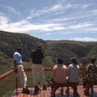 Vulture Viewing at De Hoop - De Hoop Collection - Xplorio™ Bredasdorp