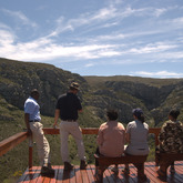 Vulture Viewing at De Hoop - De Hoop Collection - Xplorio™ Bredasdorp