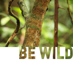 Be Wild, Be Adventurous - Gansbaai Weekend Inspiration