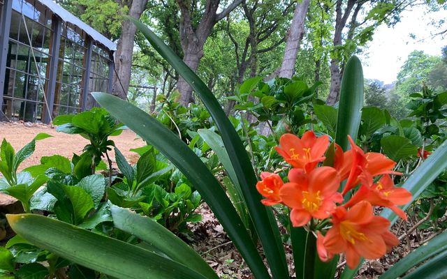 WhatsApp_Image_2021_09_28_at_06.38.12_1632808695