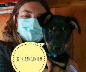 Faye Graham Adopted Riley