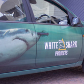 Branded Vehicle - White Shark Projects - Xplorio™ Gansbaai