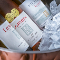 Wine Shop - Taste Dilemma - Xplorio™ Gansbaai 