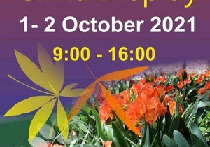 1 - 2 October 2021: Clivia Display