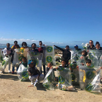 Beach Clean-up - White Shark Projects - Xplorio™ Gansbaai