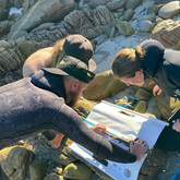 Educational Lessons - White Shark Projects - Xplorio™ Gansbaai