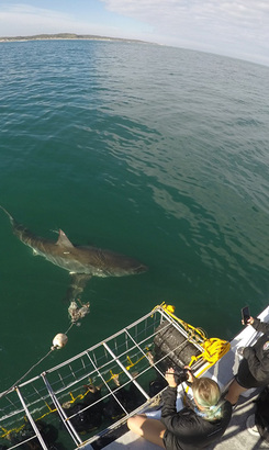 GOPRO2885_1632987408