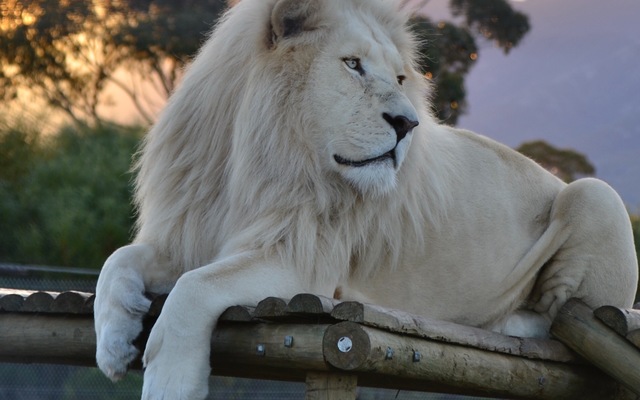 Bilde_11.07.2017_16.43.29_1633000986