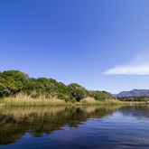 Down The River - Alpha Sierra Adventures - Xplorio™ Stanford