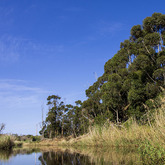 Nature View - Alpha Sierra Adventures - Xplorio™ Stanford