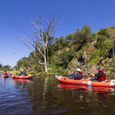 Guided River Trip - Alpha Sierra Adventures - Xplorio™ Stanford