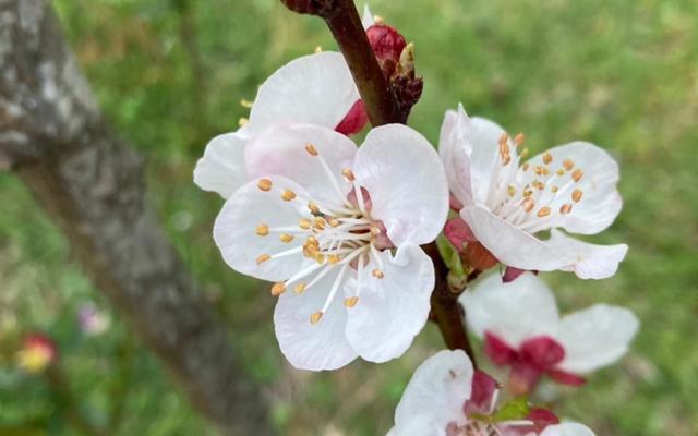 WhatsApp_Image_2021_09_30_at_15.27.32_1__1633065556