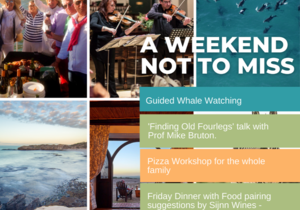 15 - 17 October 2021: De Hoop Wine, Whales & Music