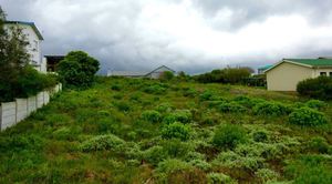 R380,000 | 974m² Vacant Land For Sale in Pearly Beach