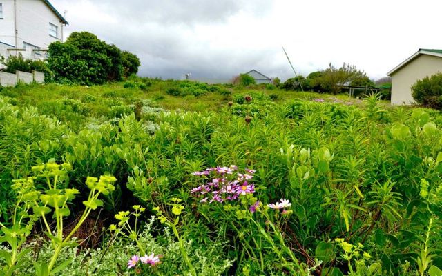 seeff_perarly_beach_land_1633331928