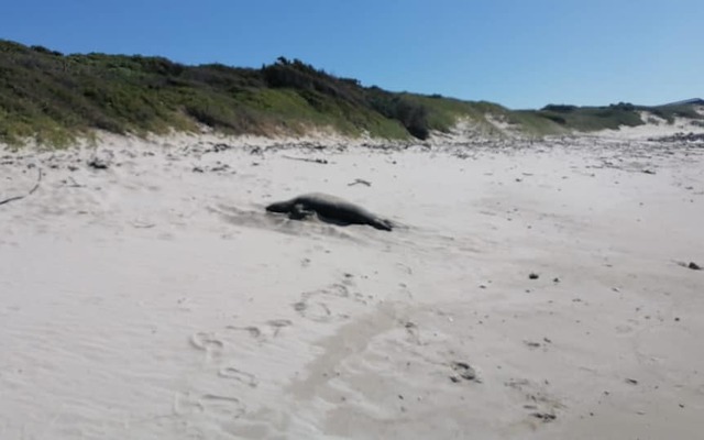 243669905_4690637694321049_4882709931735438313_n_1633334514