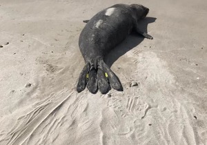 PLEASE KEEP YOUR DISTANCE