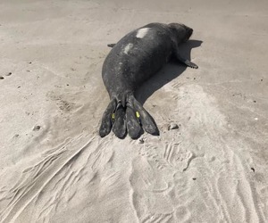 PLEASE KEEP YOUR DISTANCE