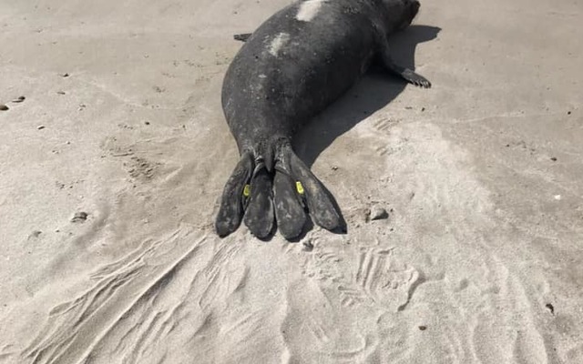 244167416_4690637697654382_9115998938724763724_n_1633334513