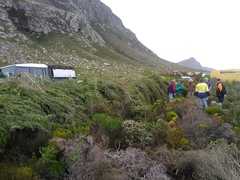 Betty’s Bay Hackers