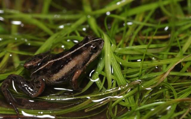 244097576_1977500185748600_8531694528632291346_n_1633506002