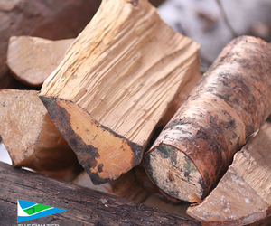 Camping Tip: Place Dry Firewood Under Your Car