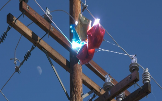 245175666_4723323844385767_7930418587684630475_n_1634039337