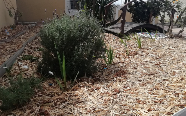 WhatsApp_Image_2021_10_13_at_12.13.07_2_1634134269