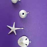 Seashell Pendants in Sterling Silver - JOY - Xplorio™ Bredasdorp