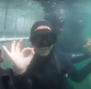 Guest video of her shark trip with White Shark Projects