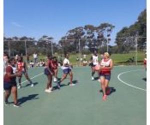 October 2021 Newsletter: The Stanford Shout-Out