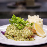 Fish of the day - Blue Goose - Xplorio™ Gansbaai