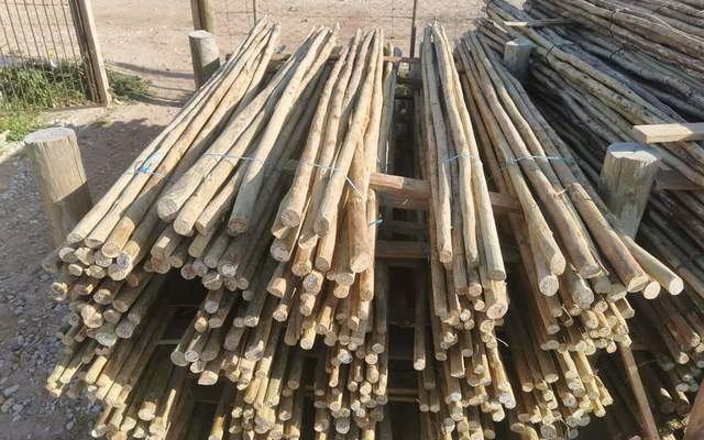 WhatsApp_Image_2021_10_19_at_15.16.26_1634708019