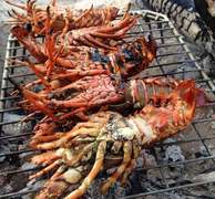 WEST COAST ROCK LOBSTER SEASON 2021/2022 DATES ANNOUNCED