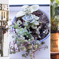 Decor - Dr Helena Hendriks - Xplorio™ Gansbaai