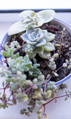 gansbaai_medical_services_doctor_helena_hendriks_decor_1634885757