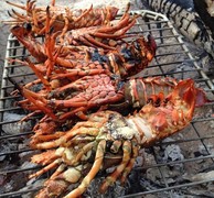 West Coast Rock Lobster Season 2021/2022 Dates Announced