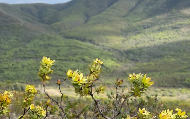 243821903_3024333067817989_4792132189512163380_n_1635156891