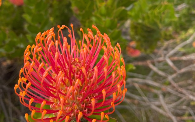 243952069_3024333054484657_3573738636475221263_n_1635156889