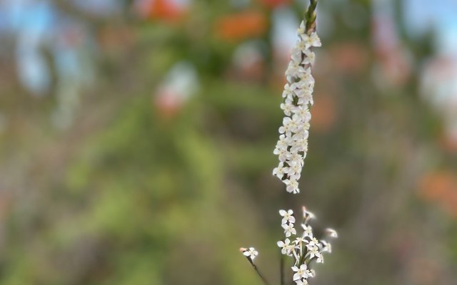 244018265_3024332991151330_9204031663566425852_n_1635156890