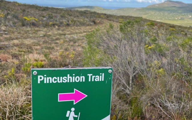 244077546_3024333057817990_2688809290986631386_n_1635156891