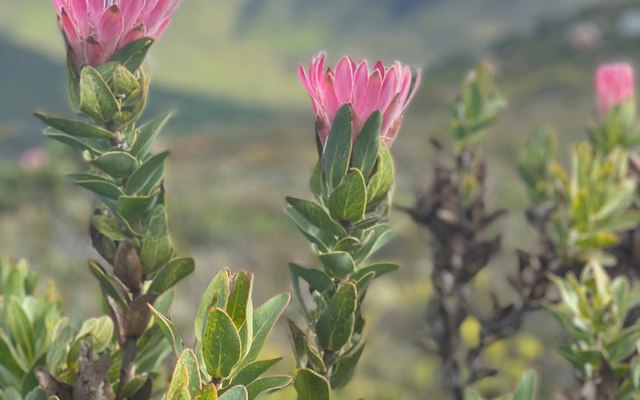 244205950_3024332984484664_1136105466540384605_n_1635156892