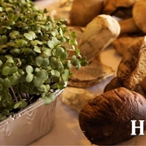 So fresh, it's sometimes still growing when you buy it... - Dal-Italia Delicatessen - Xplorio™ Hermanus